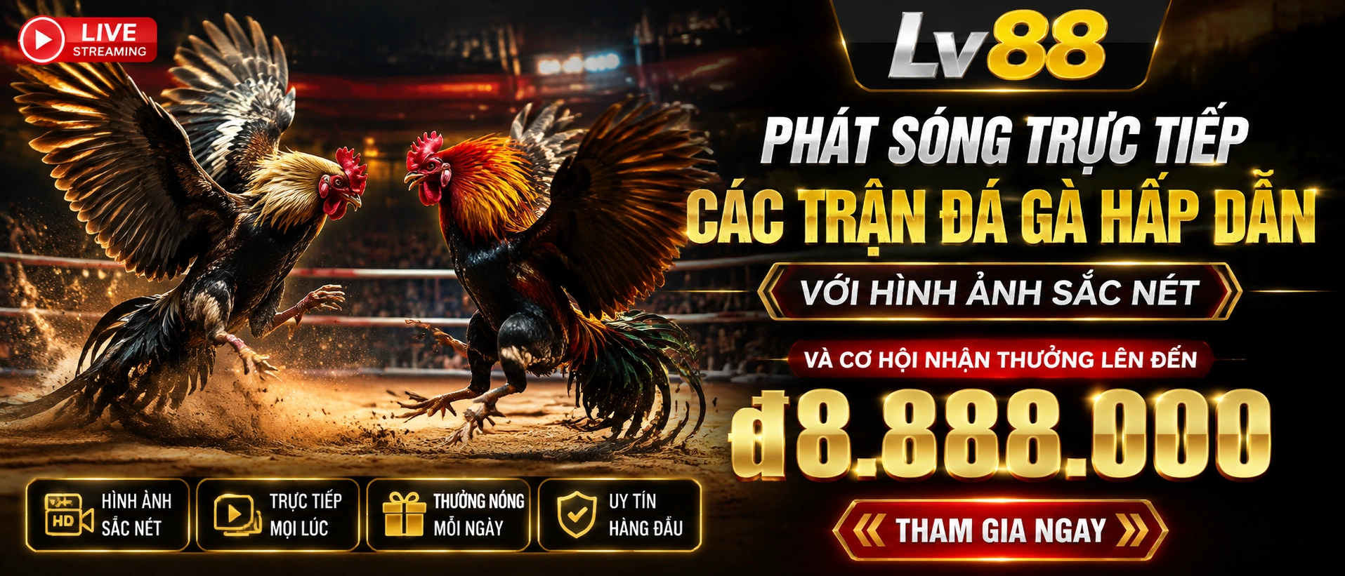 Đá Gà Campuchia tại LV88